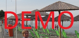 DEMO