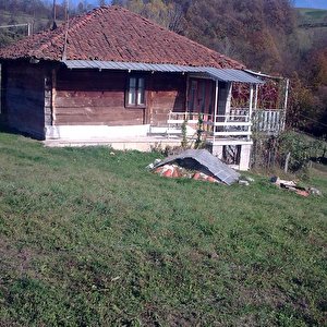 guča0064.jpg